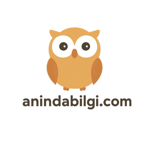 anindabilgi.com