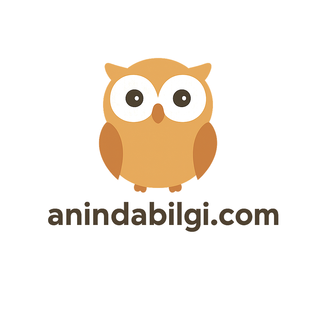 anindabilgi.com