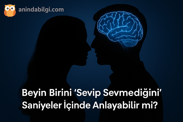 Beyin Birini “Sevip Sevmediğini” Saniyeler İçinde Anlayabilir mi?